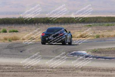 media/Oct-04-2025-OnGrid (Sat) [[44bd565ffa]]/Purple Group/Grapevine/